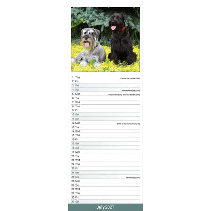 Avonside Schnauzer Kalender 2027 Slimline