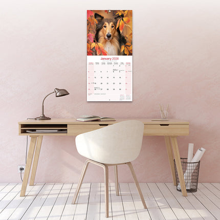 Avonside Schotse Herder Kalender 2026