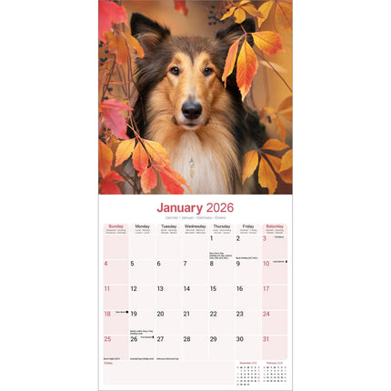 Avonside Schotse Herder Kalender 2026