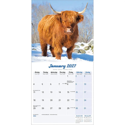 Avonside Schotse Hooglanders Kalender 2027