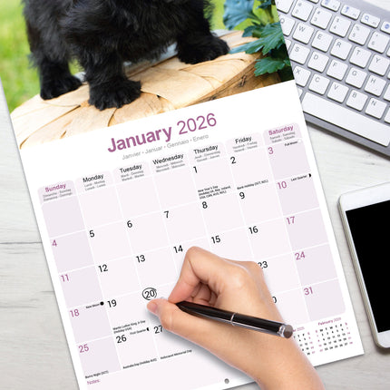 Avonside Schotse Terrier Kalender 2026