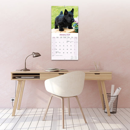 Avonside Schotse Terrier Kalender 2026