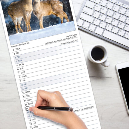 Avonside Seasons Kalender 2026 Slimline