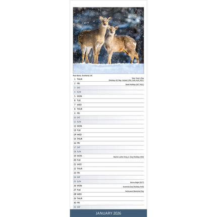 Avonside Seasons Kalender 2026 Slimline