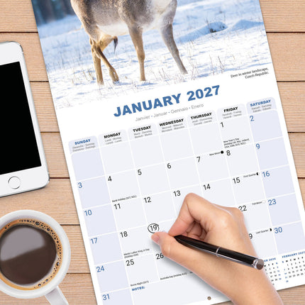 Avonside Seizoenen Kalender 2027