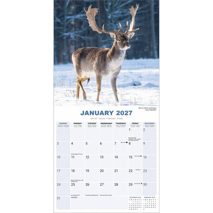 Avonside Seizoenen Kalender 2027