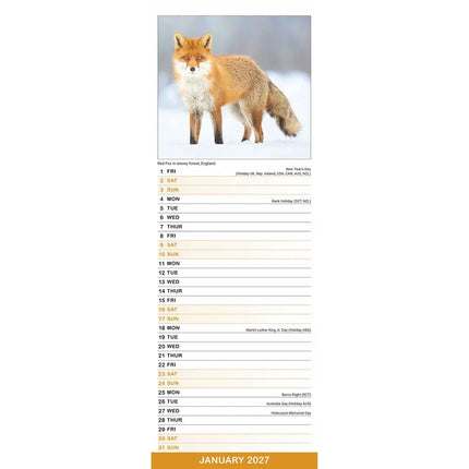 Avonside Seizoenen Slimline Kalender 2027