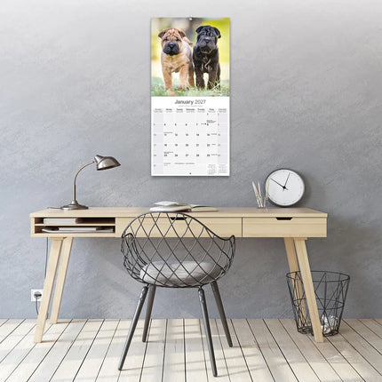Avonside Shar Pei Kalender 2027