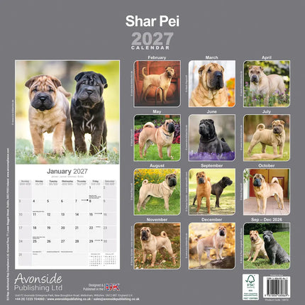 Avonside Shar Pei Kalender 2027