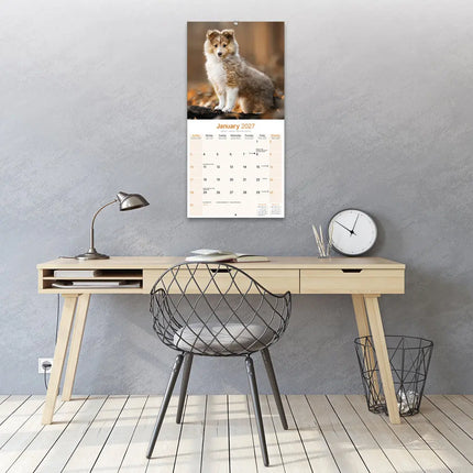 Avonside Shetland Sheepdog Kalender 2027