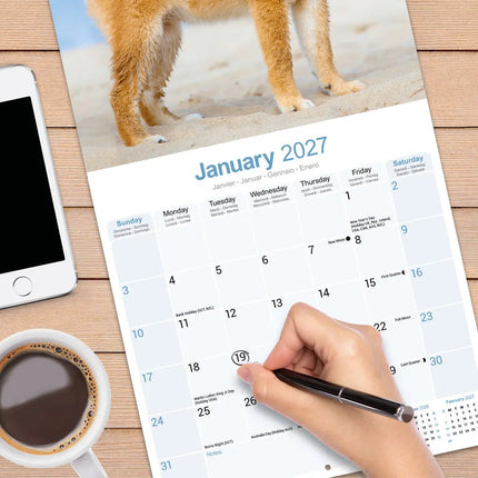 Avonside Shiba Inu Kalender 2027
