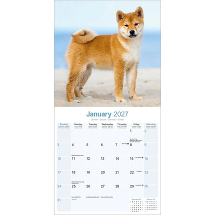 Avonside Shiba Inu Kalender 2027