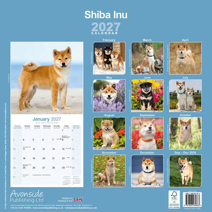 Avonside Shiba Inu Kalender 2027