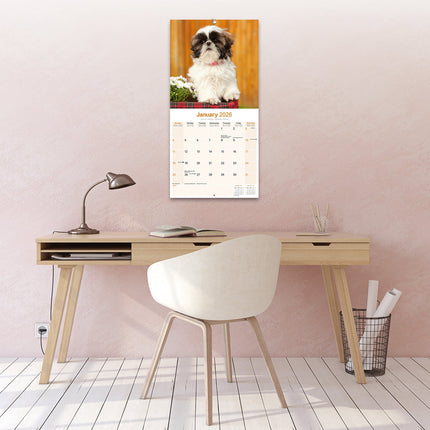 Avonside Shih Tzu Kalender 2026