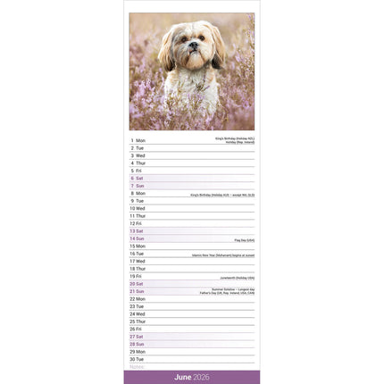 Avonside Shih Tzu Kalender 2026 Slimline
