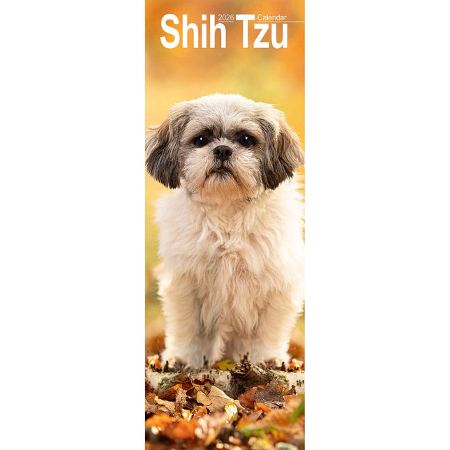 Avonside Shih Tzu Kalender 2026 Slimline
