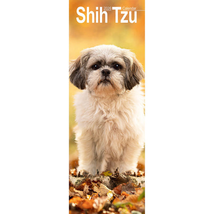 Avonside Shih Tzu Kalender 2027 Slimline