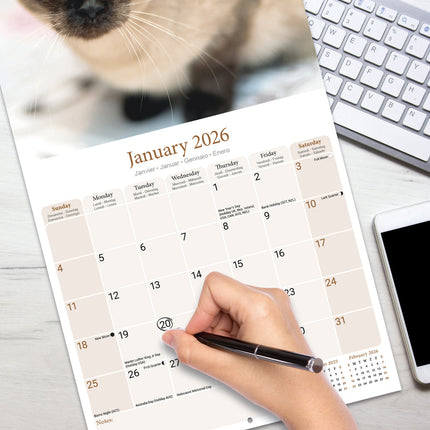 Avonside Siamees Kalender 2026