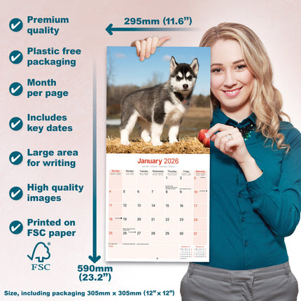 Avonside Siberian Husky Kalender 2026