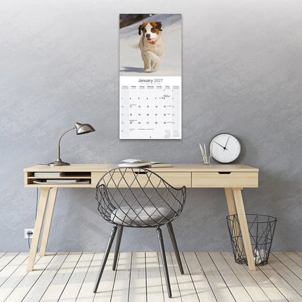 Avonside Sint Bernard Kalender 2027