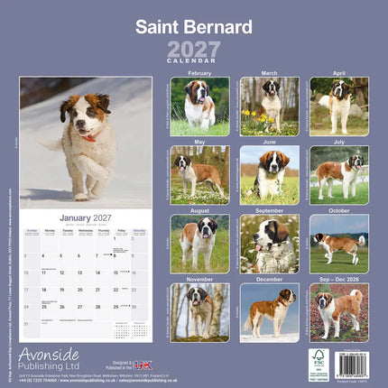Avonside Sint Bernard Kalender 2027
