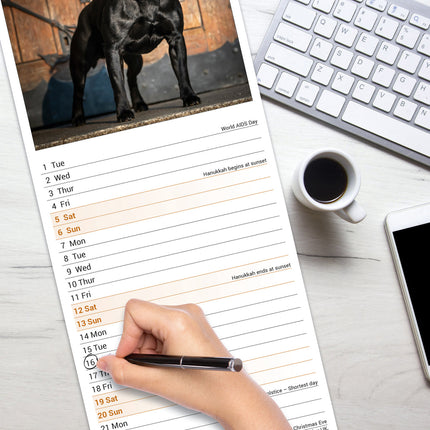 Avonside Staffordshire Bull Terrier Kalender 2026 Slimline