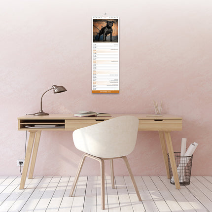 Avonside Staffordshire Bull Terrier Kalender 2026 Slimline
