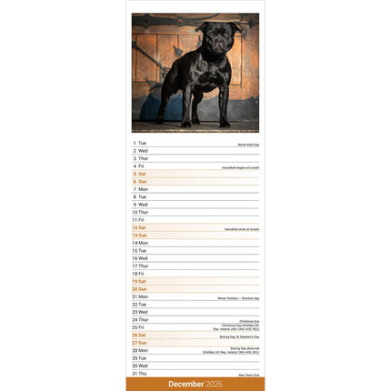 Avonside Staffordshire Bull Terrier Kalender 2026 Slimline