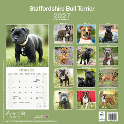 Avonside Staffordshire Bull Terrier Kalender 2027