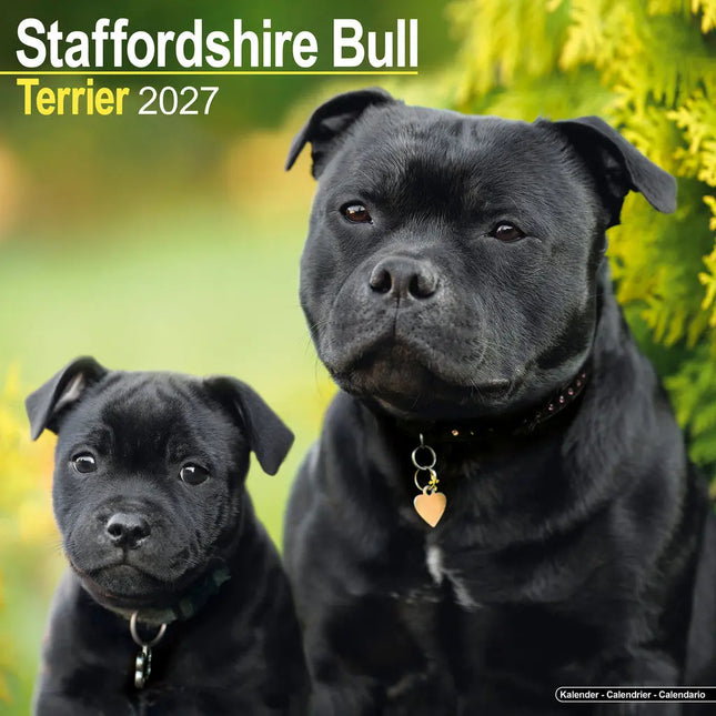 Avonside Staffordshire Bull Terrier Kalender 2027