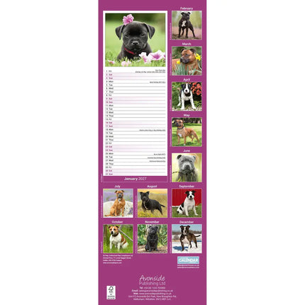 Avonside Staffordshire Bull Terrier Kalender 2027 Slimline