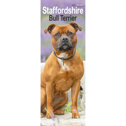 Avonside Staffordshire Bull Terrier Kalender 2027 Slimline
