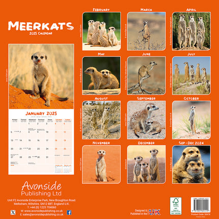 Avonside Stokstaartjes Kalender 2025