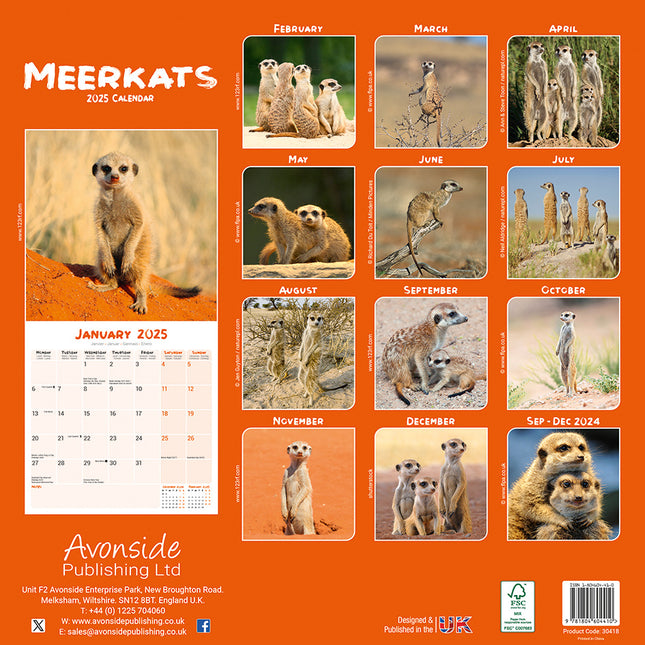 Avonside Stokstaartjes Kalender 2025