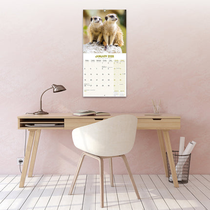 Avonside Stokstaartjes Kalender 2026