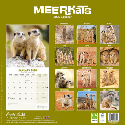 Avonside Stokstaartjes Kalender 2026