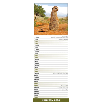 Avonside Stokstaartjes Kalender 2026 Slimline
