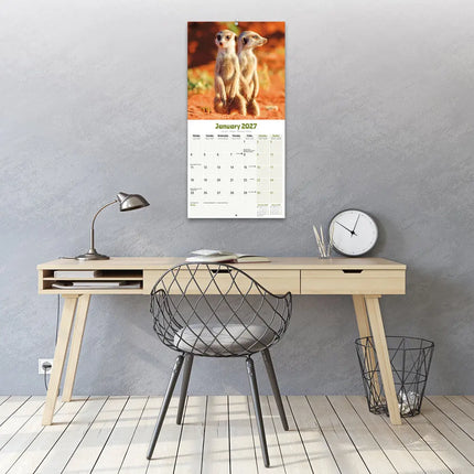 Avonside Stokstaartjes Kalender 2027