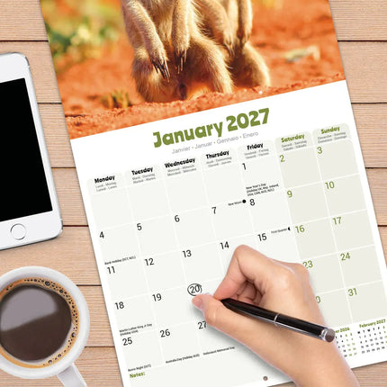 Avonside Stokstaartjes Kalender 2027