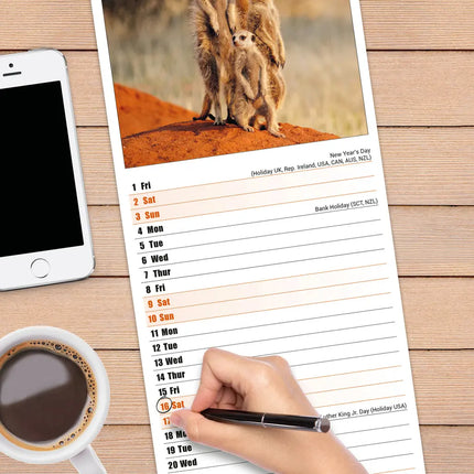 Avonside Stokstaartjes Slimline Kalender 2027