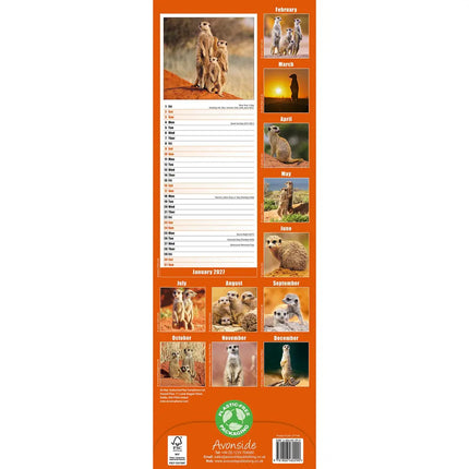 Avonside Stokstaartjes Slimline Kalender 2027