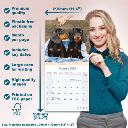 Avonside Teckel Kalender 2026