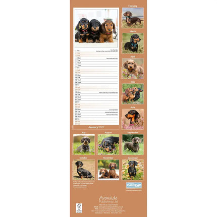 Avonside Teckel Kalender 2027 Slimline