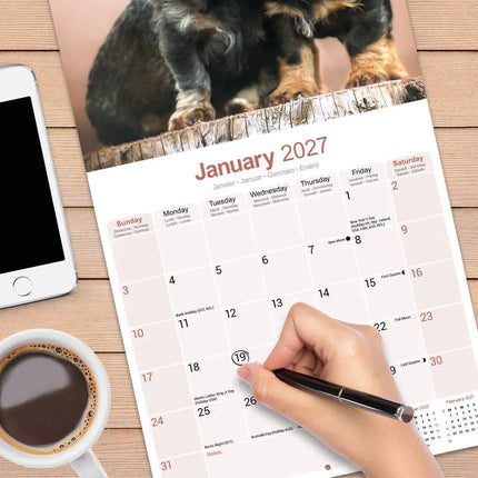 Avonside Teckel Ruwhaar Kalender 2027