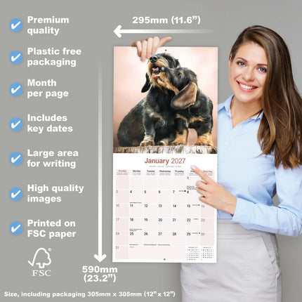 Avonside Teckel Ruwhaar Kalender 2027