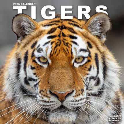 Avonside Tijger Kalender 2026