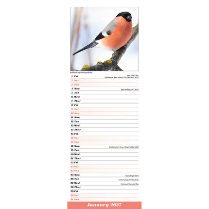 Avonside Tuinvogels Slimline Kalender 2027
