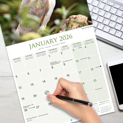 Avonside Uilen Kalender 2026
