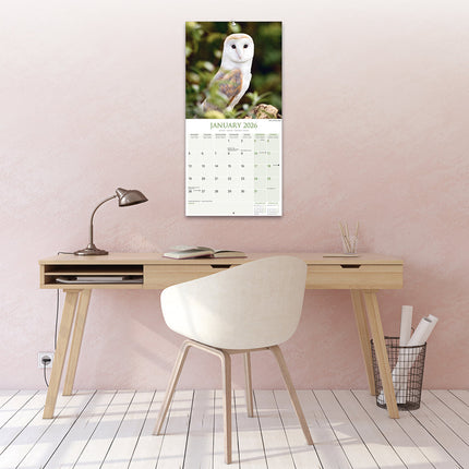Avonside Uilen Kalender 2026