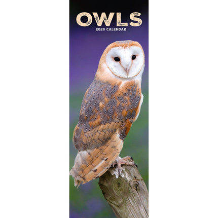 Avonside Uilen Kalender 2026 Slimline